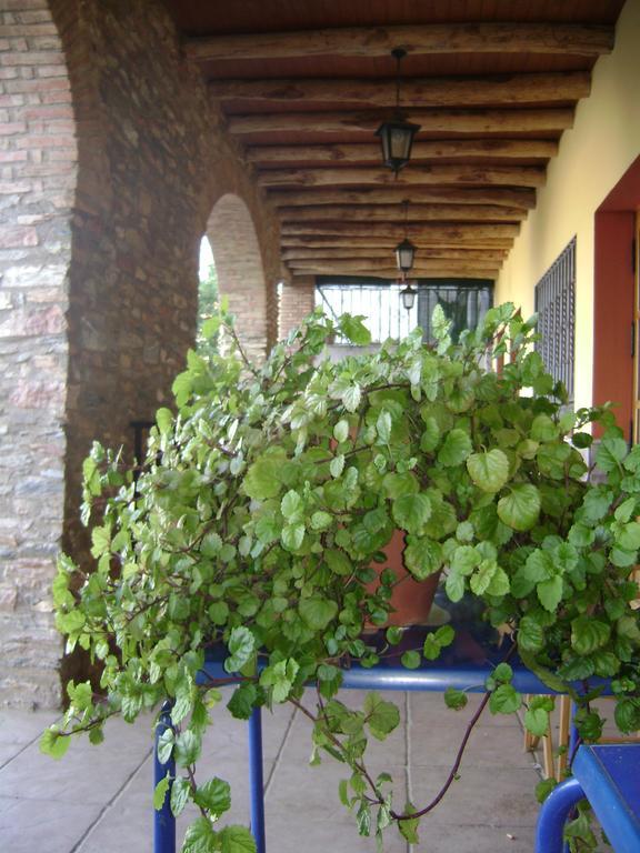 Гостевой дом La Casa Del Cura Кортеконсепсьон Экстерьер фото